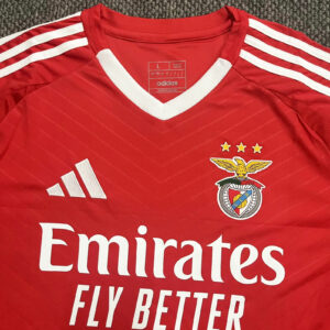 SL Benfica 2024/2025